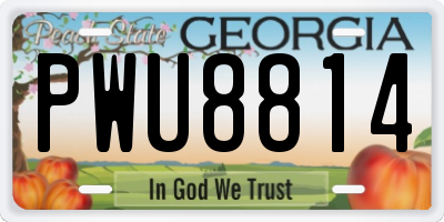 GA license plate PWU8814