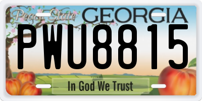 GA license plate PWU8815