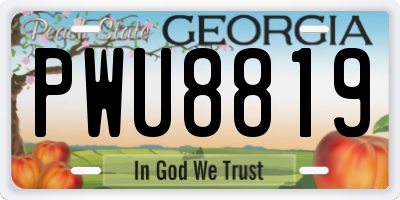 GA license plate PWU8819