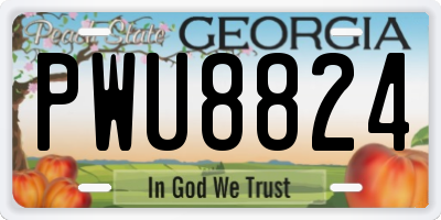 GA license plate PWU8824