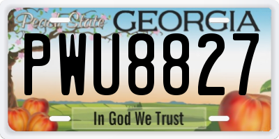 GA license plate PWU8827