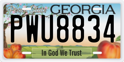 GA license plate PWU8834