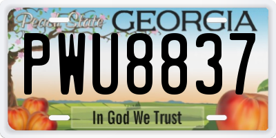 GA license plate PWU8837