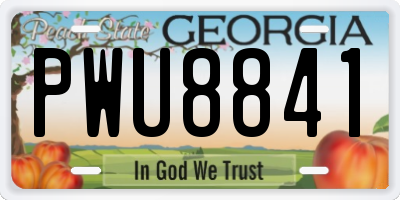GA license plate PWU8841