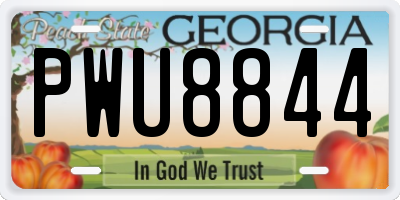 GA license plate PWU8844
