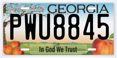 GA license plate PWU8845