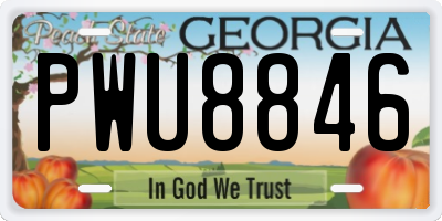 GA license plate PWU8846