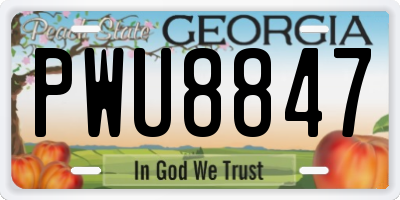 GA license plate PWU8847