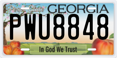 GA license plate PWU8848