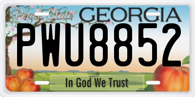 GA license plate PWU8852