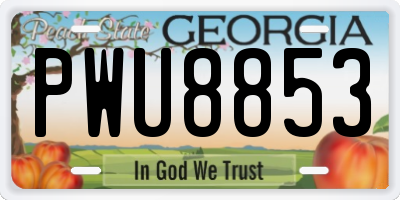 GA license plate PWU8853