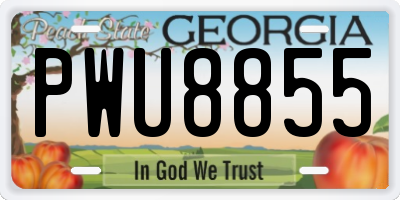 GA license plate PWU8855