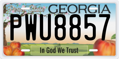 GA license plate PWU8857