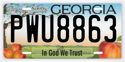 GA license plate PWU8863