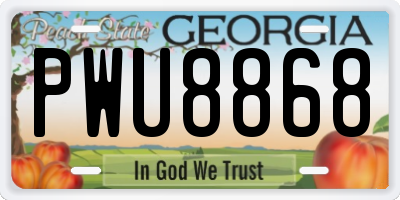 GA license plate PWU8868