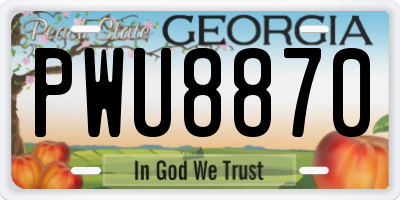 GA license plate PWU8870