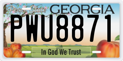 GA license plate PWU8871