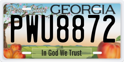 GA license plate PWU8872