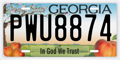 GA license plate PWU8874