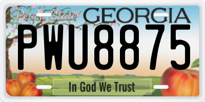 GA license plate PWU8875