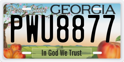 GA license plate PWU8877