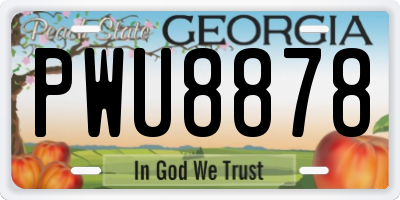 GA license plate PWU8878