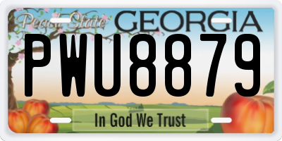 GA license plate PWU8879