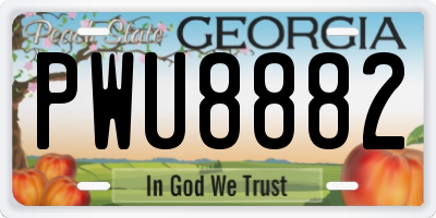 GA license plate PWU8882