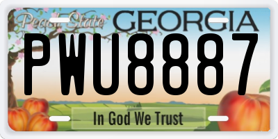 GA license plate PWU8887