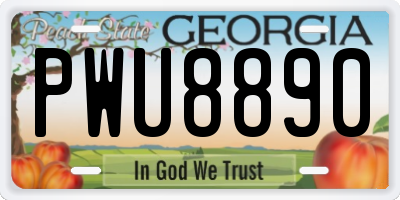 GA license plate PWU8890