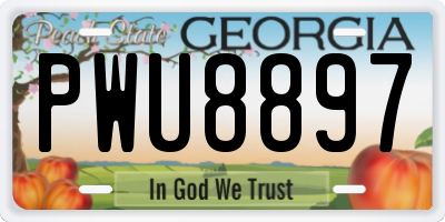 GA license plate PWU8897