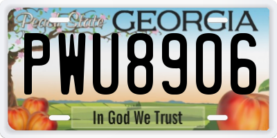 GA license plate PWU8906