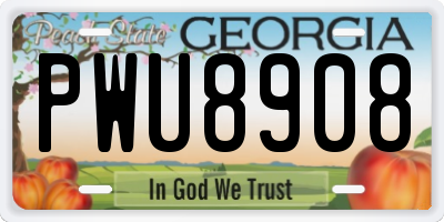 GA license plate PWU8908