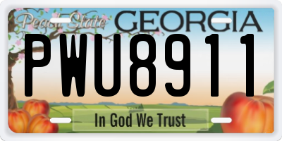 GA license plate PWU8911