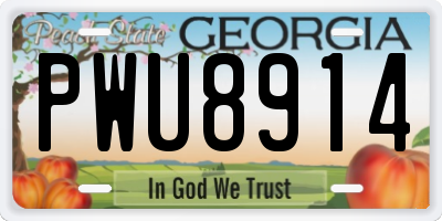 GA license plate PWU8914