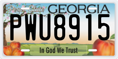 GA license plate PWU8915
