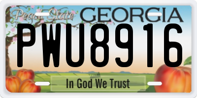 GA license plate PWU8916