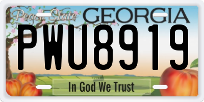 GA license plate PWU8919