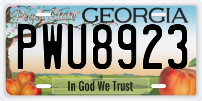 GA license plate PWU8923