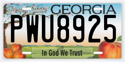 GA license plate PWU8925
