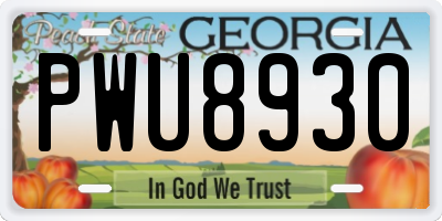 GA license plate PWU8930