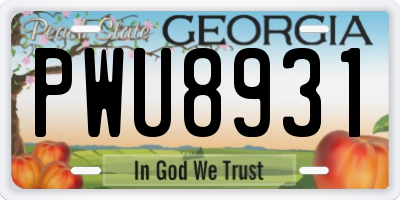 GA license plate PWU8931