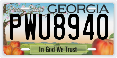 GA license plate PWU8940
