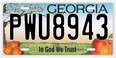 GA license plate PWU8943