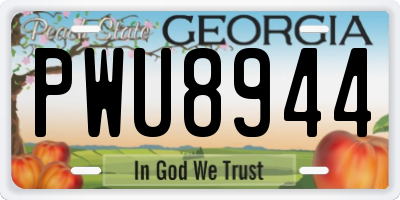 GA license plate PWU8944