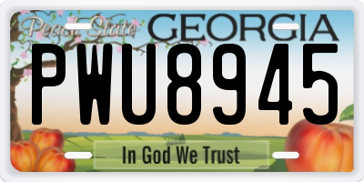 GA license plate PWU8945