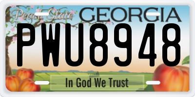 GA license plate PWU8948