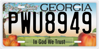 GA license plate PWU8949