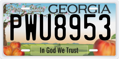 GA license plate PWU8953