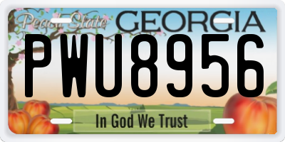 GA license plate PWU8956
